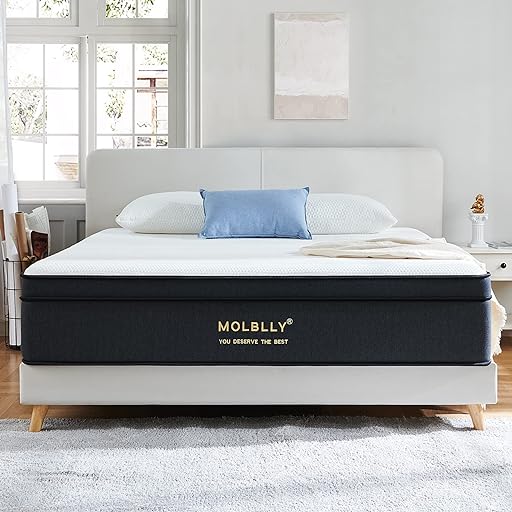 Trust Molblly 12 Inch Hybrid Queen Mattress for the best foam mattress approves of.